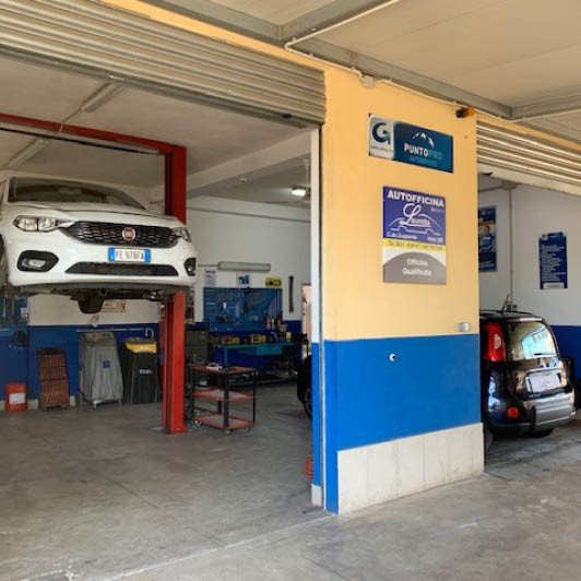 Un servizio puntuale, efficiente e competente che affianchi il cliente nella scelta dell’auto